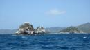 Sister Rocks, Cariacou: La blancheur des rochers par le guano tranche avec le vert des îles avoisinantes